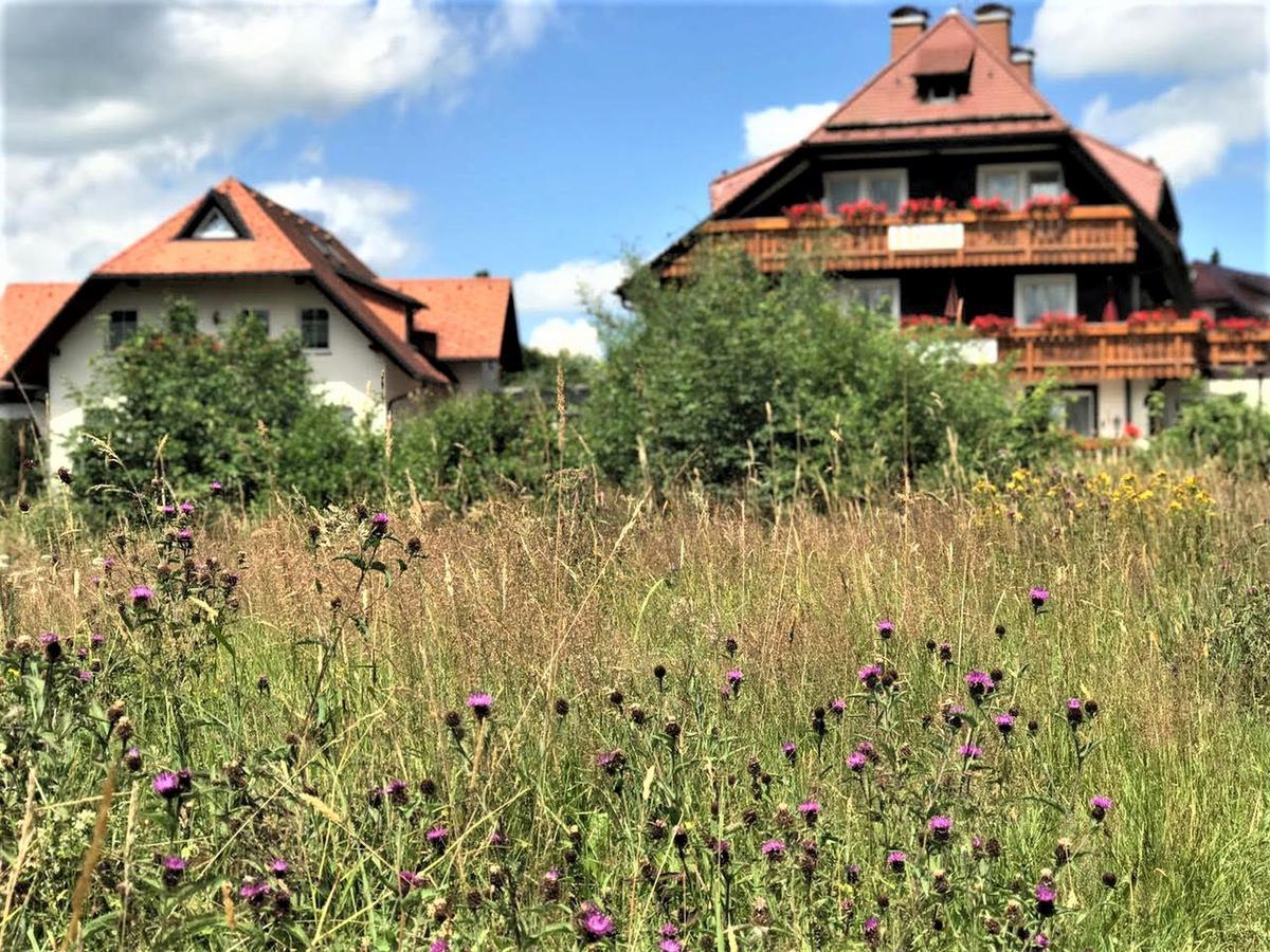 Hotel Zartenbach B&B Hinterzarten Exterior foto